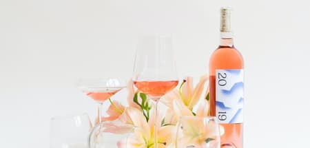 Bebida alcoólica ou cerveja