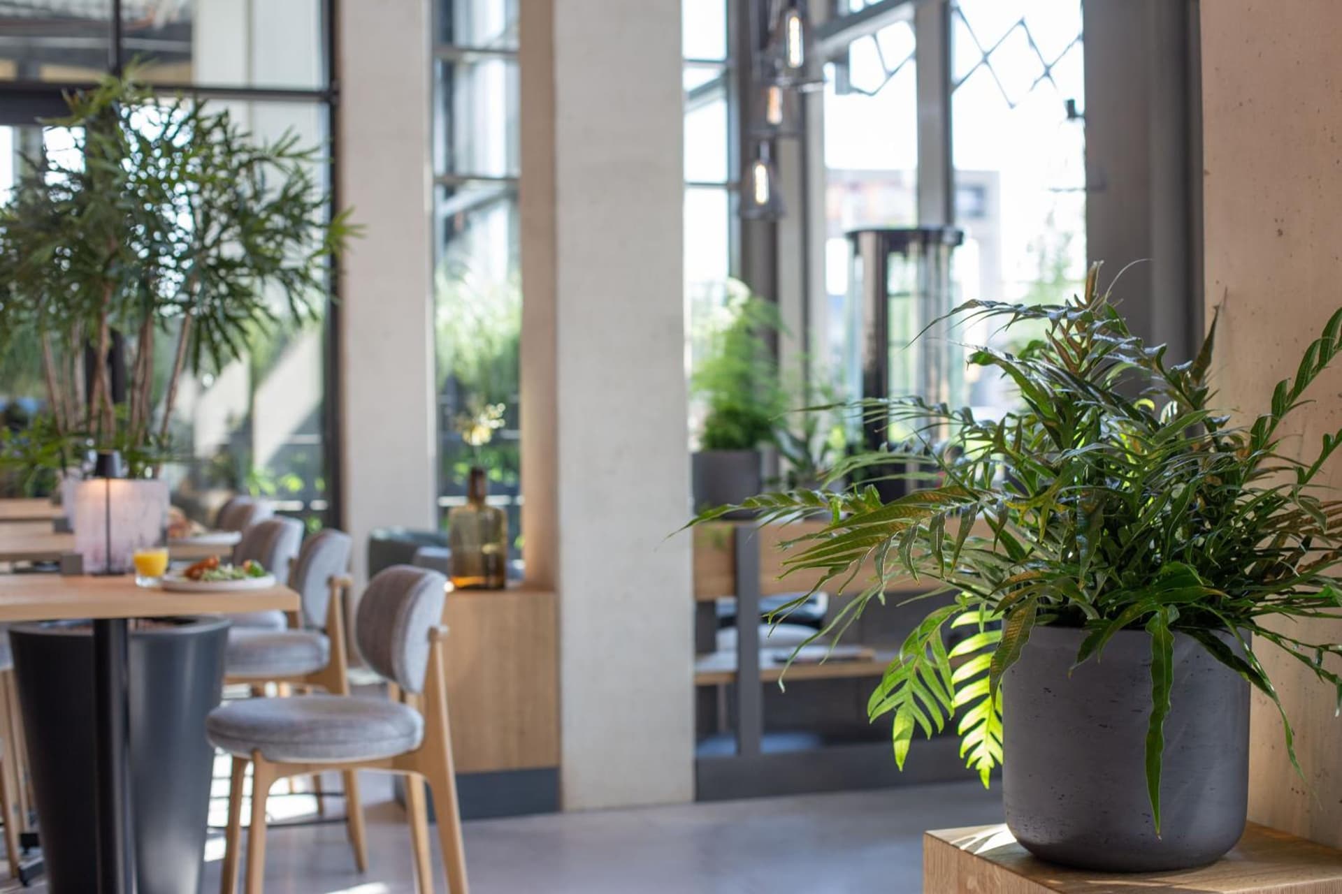Hotel Rosveld